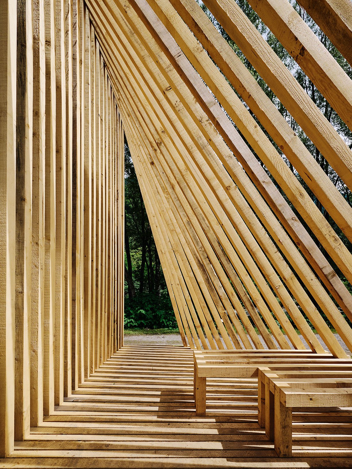 Interior of a timber pavilion with integrated seating, filtered daylight, and rhythmic shadow patterns.