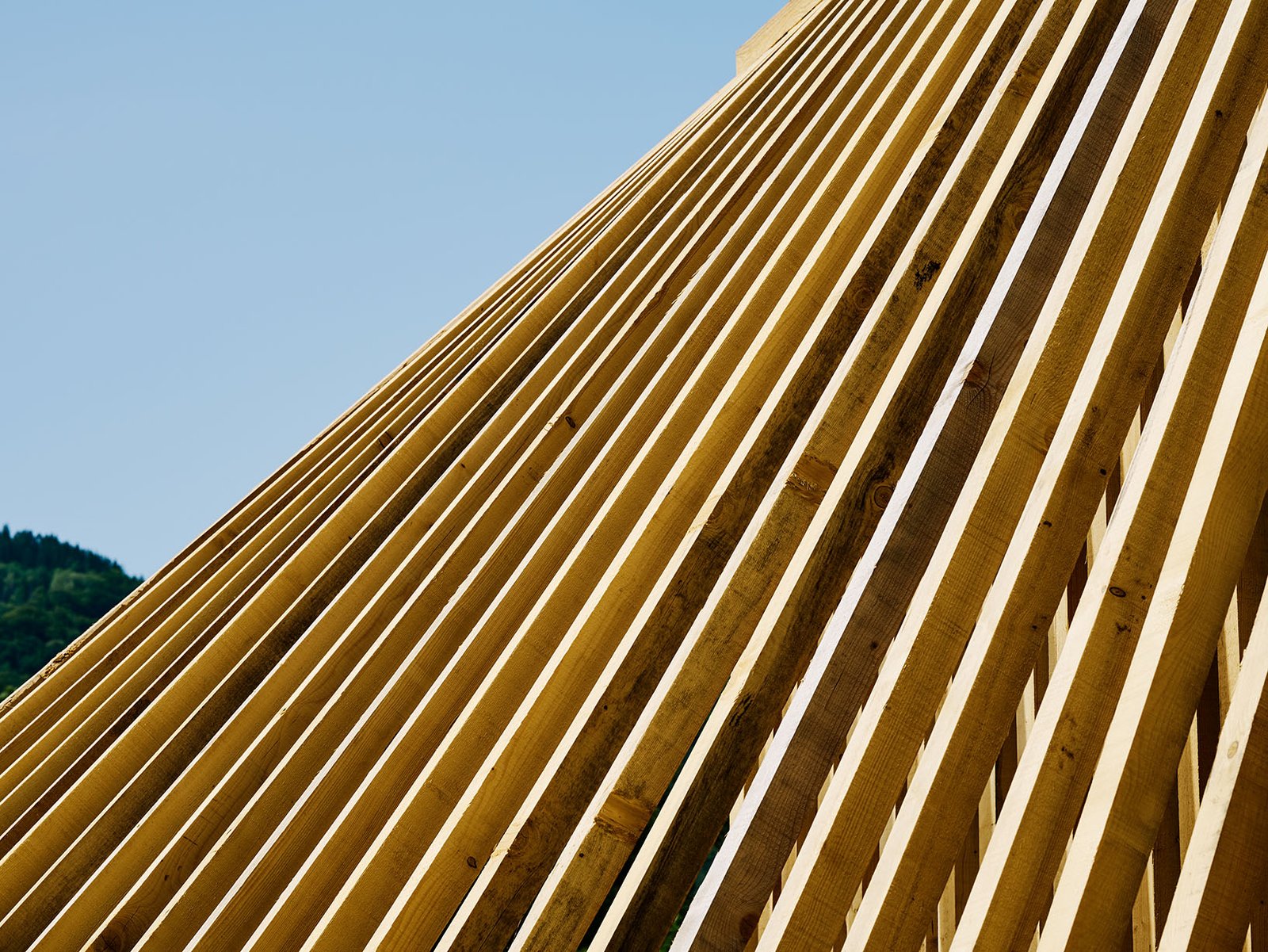 Graphic composition of timber slats creating depth, rhythm, and changing light conditions.